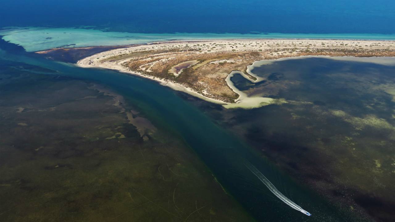 Artenschutz in Libyen